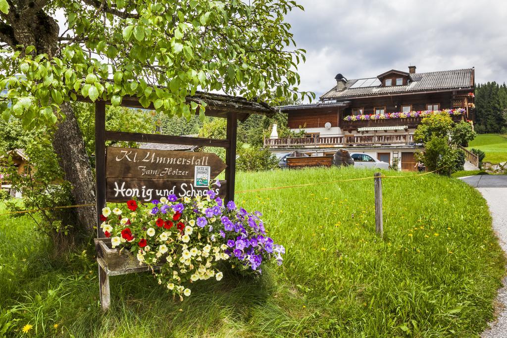 Biobauernhof Kleinummerstall Mittersill Exterior foto